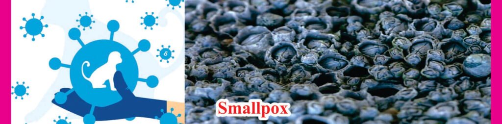 Smallpox Virus Most Dangerous Viruses in Human History 